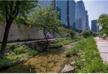서울시설공단, 청계천 판잣집 ‘공생모색 전시회’… 산책로 정비도