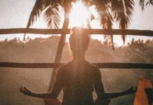 다양성과 효율성, 운동의 새로운 지평을 열다