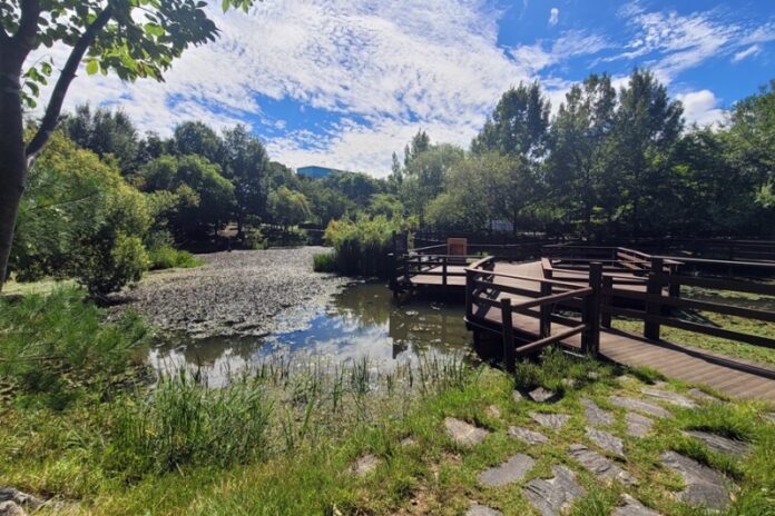 충북 청주 원흥이생태공원도시숲