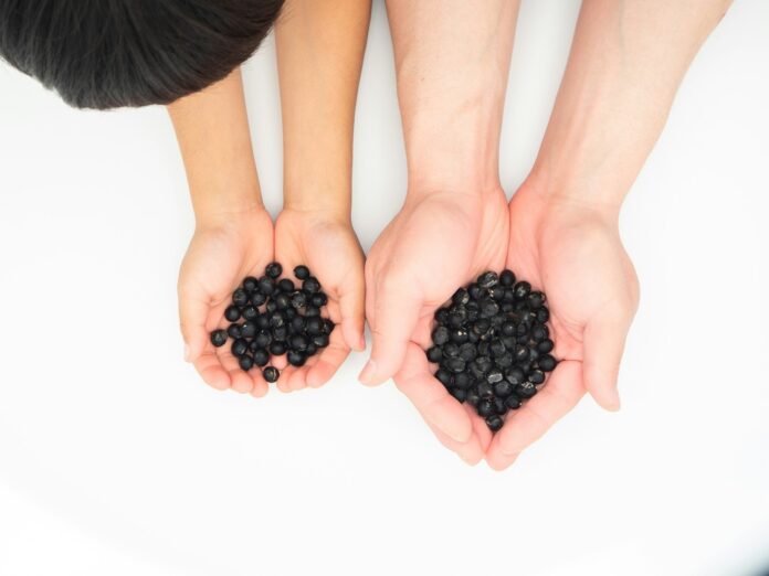 Photo by kaori kubota two hands holding a handful of black beans