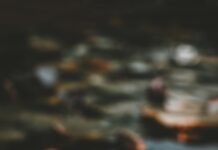 “대체요법, 언제 어떻게 실생활에 활용할까? 쉽게 실천하는 건강 루틴 제안” pink and white lotus flower