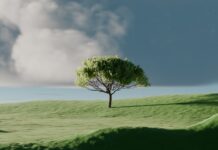 집에서도 실천하는 ‘마음 챙김’: 바쁜 일상 속 스트레스 관리법 주목 A single tree on a vibrant green rolling hill.