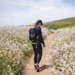 건강 지키는 ‘걷기 생활화’…일상 속 작지만 확실한 변화 woman walking between flower fields