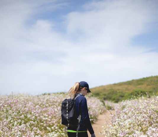 건강 지키는 ‘걷기 생활화’…일상 속 작지만 확실한 변화 woman walking between flower fields